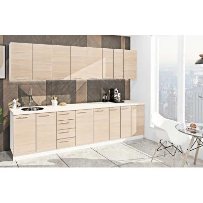 Kitchen "Eco" 3,0 m